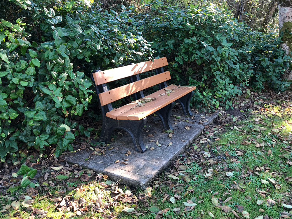 Old bench in a quiet city park. Old bench in a quiet city park.