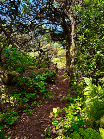 Dirt pathway in Twin Rocks Turnaround Park. Dirt pathway in Twin Rocks Turnaround Park.